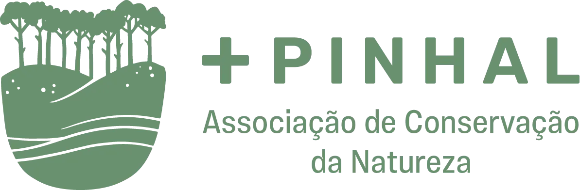 Associação +Pinhal obtém estatuto de Equiparada a ONGA