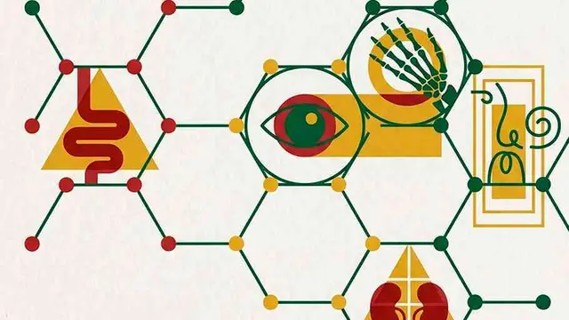 ULSEDV realiza VI Jornadas de Enfermagem Cirúrgica focadas na humanização, integração de cuidados e inovação tecnológica